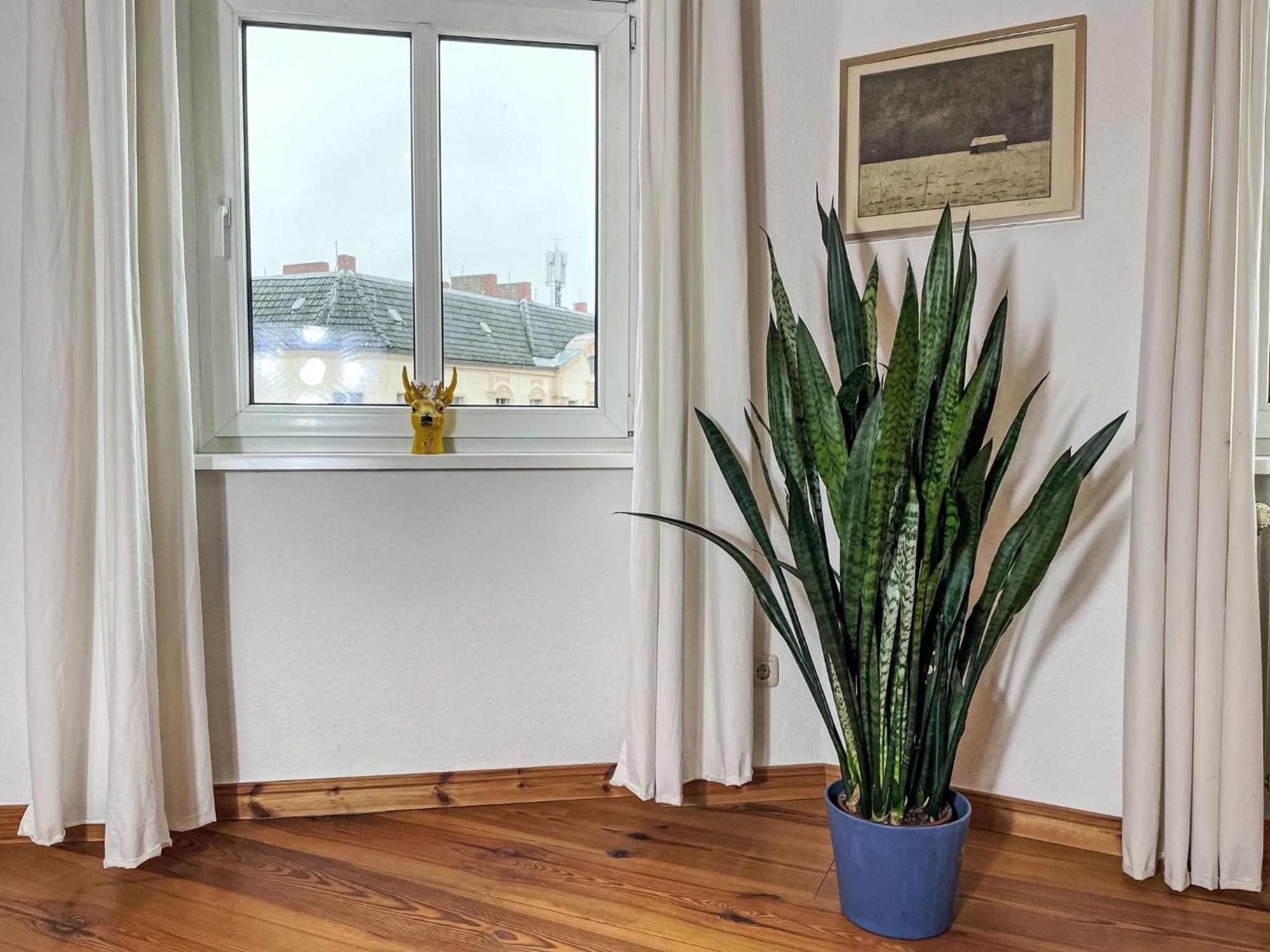 Appartement Regenbogen By Interhome Berlijn